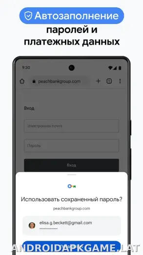 Google Chrome скриншот 6