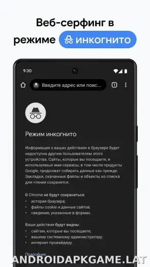 Google Chrome скриншот 3